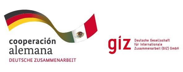 GIZ